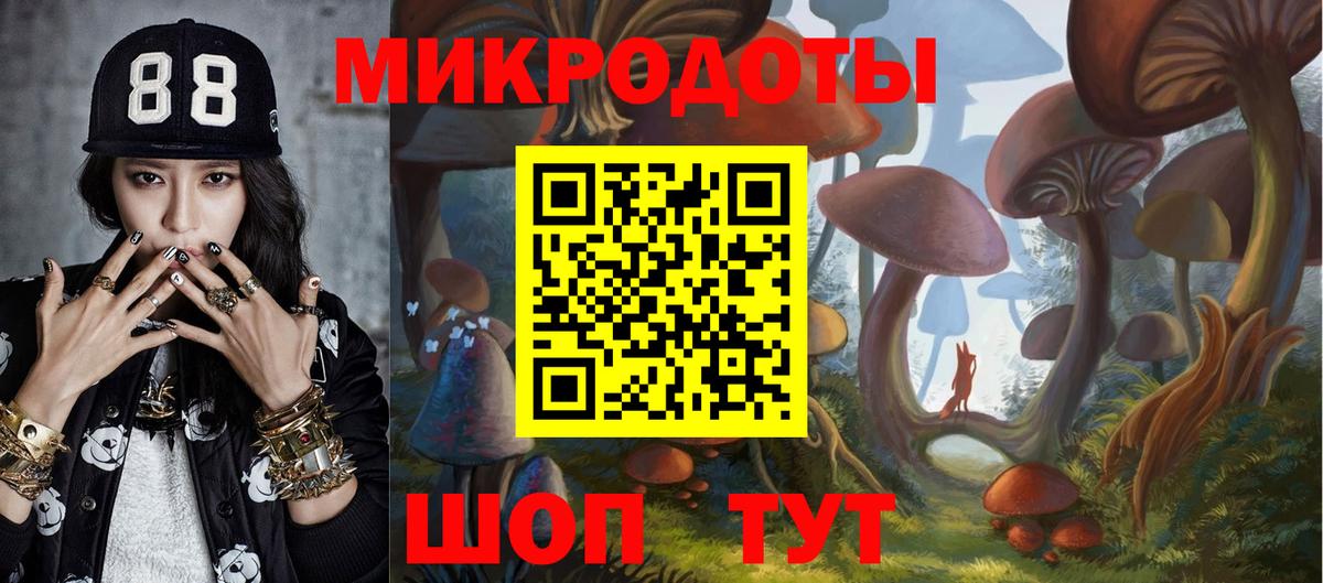 Псилоцибиновые грибы прущие грибы Кимры
